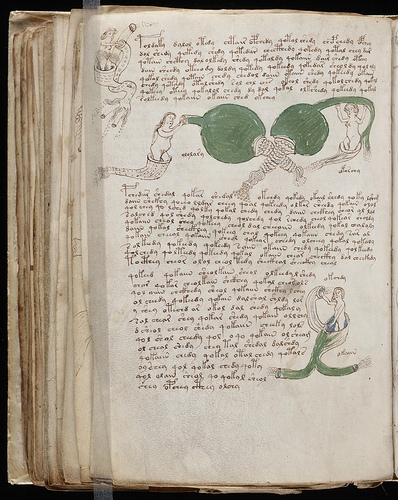 El Manuscrito Voynich - Realidad o Engano? Voynich-manuscrito-libro-misterio-03