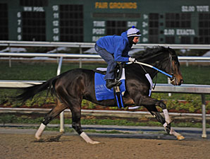 la Raquel... - Página 2 RachelAlexandra_works013110_AB298