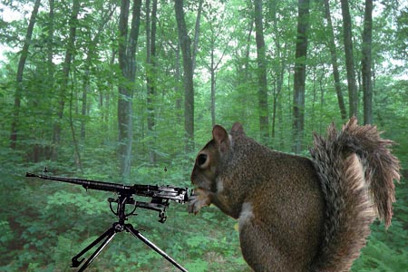 La invasión de las ardillas SquirrelGun_sm