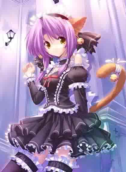 Cats vs. Dogs Catgirl_2_1246286056