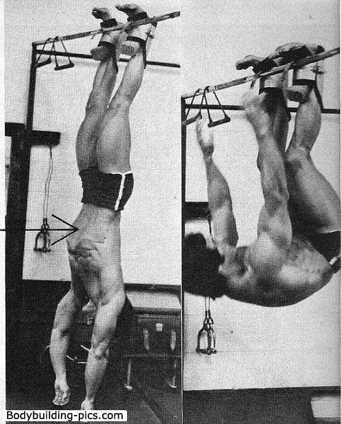 frank zane............... - Page 7 Frankzane_194