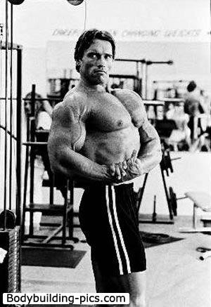 Arnold Schwarzenegger - Page 20 Arnold_Schwarzenegger_970