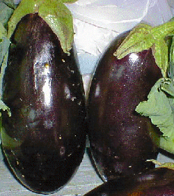 AUBERGINE Aubergine-1