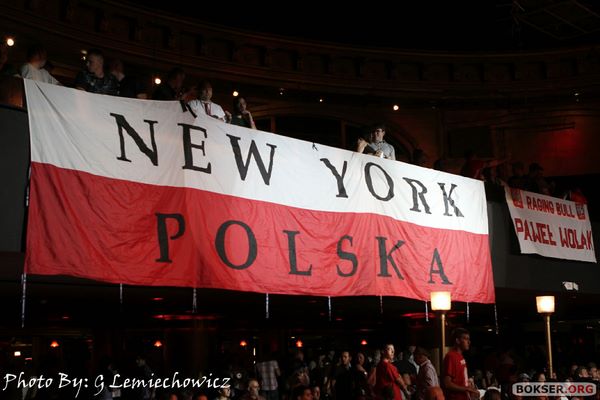 Polish Boxing updates Wolak011