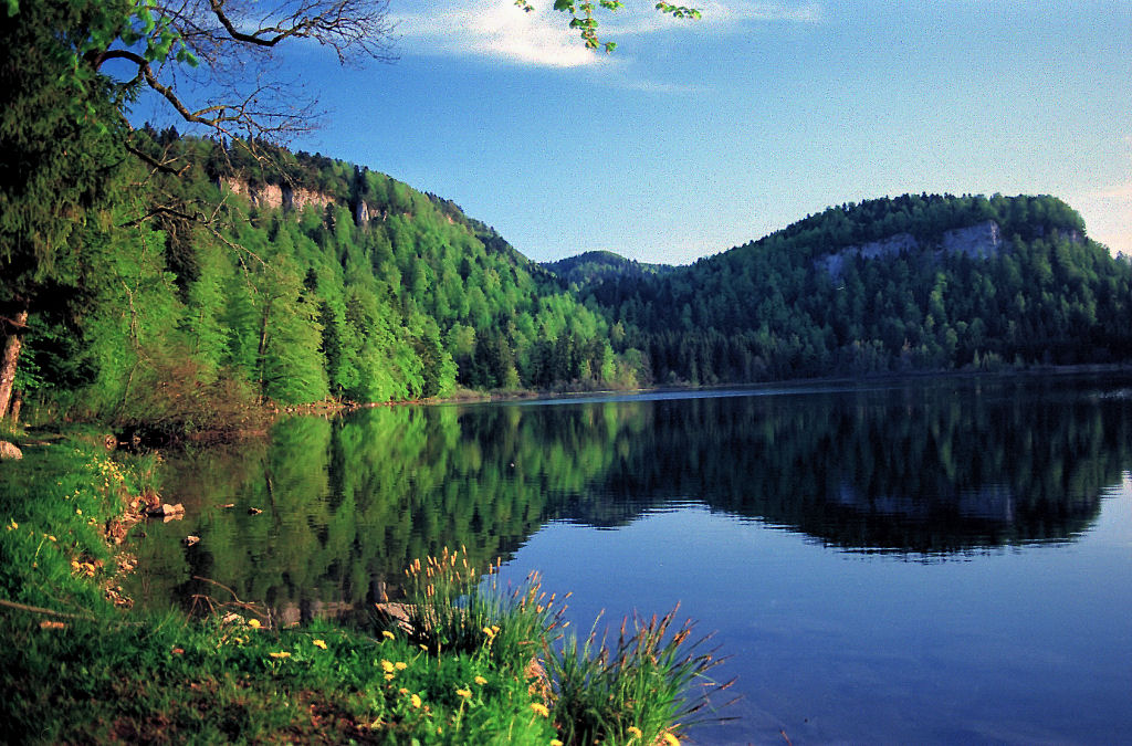 Le lac d'eau Lac_bonlieu_8_grand