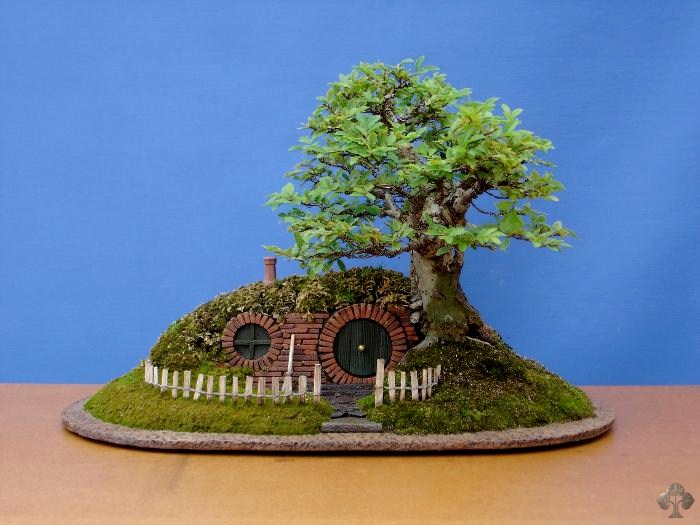 "Railway and land" penjing 004-hobbiton-bonsai-trayscape