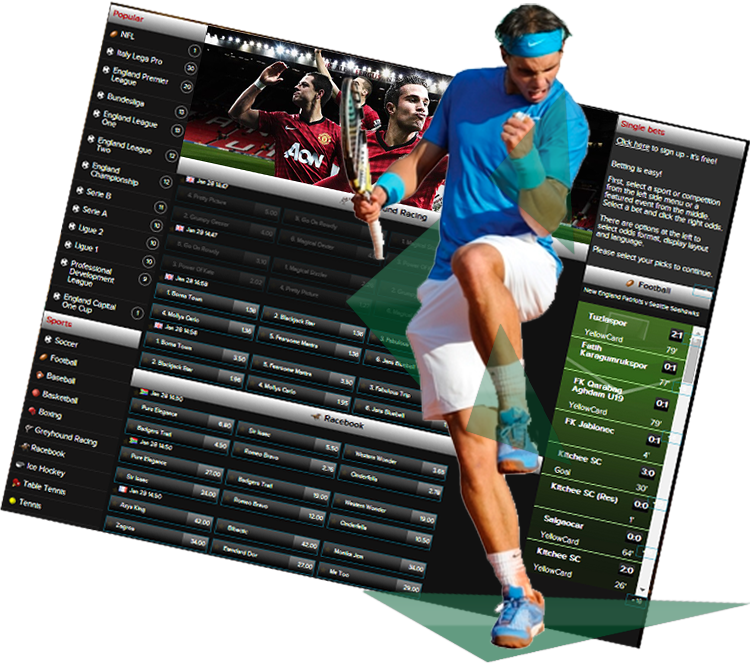 Sportsbook Software and Services Provider Sportsbook-software