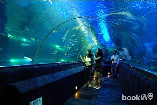 Những thủy cung đẹp nhất hành tinh Vinpearl%20Aquarium%20Times%20City_1