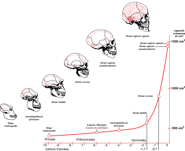 Cosa ne pensate dei Santi - Pagina 9 BrainEvolution