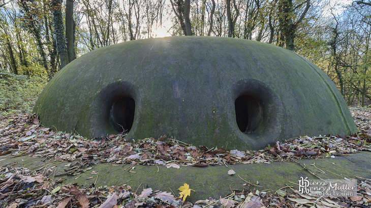 Bunker - France 4 - Page 2 Tourelle-mougin-fort-domont-vue-face