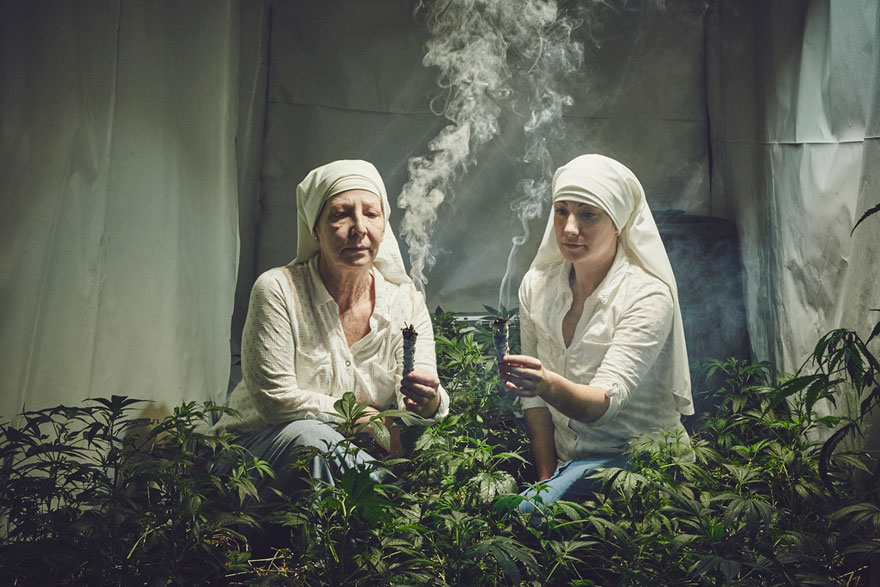 <<<Hablando de todo un poco>>> - Página 2 Monjas-hermanas-valle-cultivo-marihuana-medicinal-12