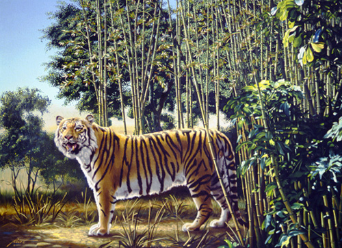 Koan zen Illusion-optique-the-hidden-tiger