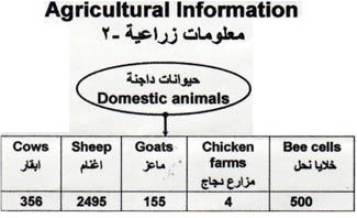 بصرى الشام Domestic-ani