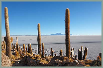 Encore des images d'Irlande! Et l'arrivée des Bourlingueurs!!! Uyuni_050