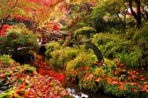 Najlepši parkovi sveta Jesen-u-prelepom-vrtu-505x335