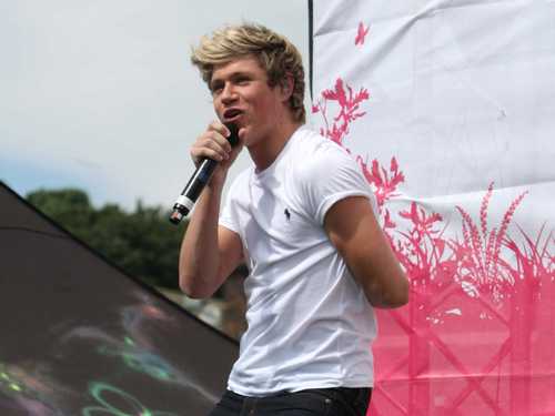 Niall Horan: “Liam Payne je na korak od rehabilitacije” FFN_FLYNETUKFF_LEEDS_PARTY_072212_50839792