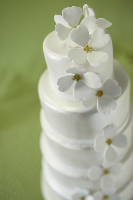 Cakes White-Satin-Carol-Cake