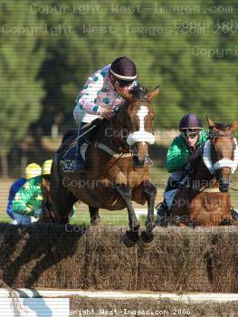 Les 2 nouveaux chevaux de club sont arrivés hier soir ! - Page 4 Pict-11429-l