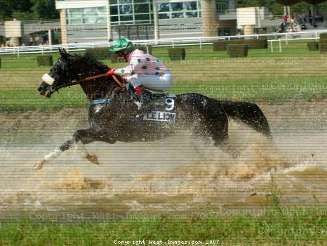 Les 2 nouveaux chevaux de club sont arrivés hier soir ! - Page 4 Pict-21288-l