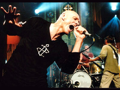 Midnight Oil Oils