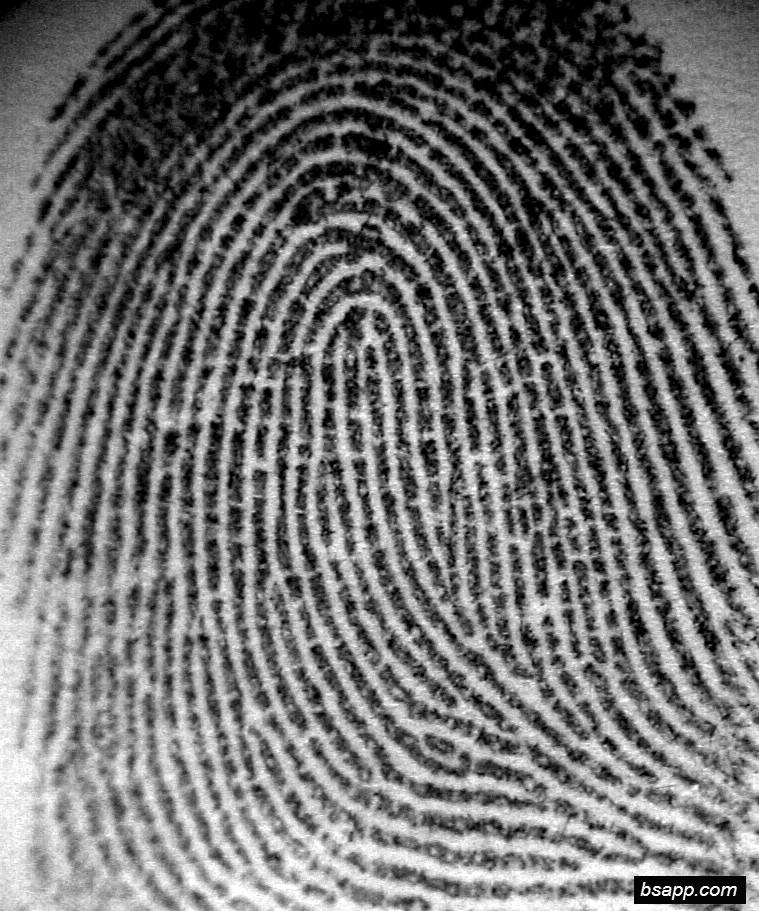 Psychological and diagnostic significance of finger prints DSC00821