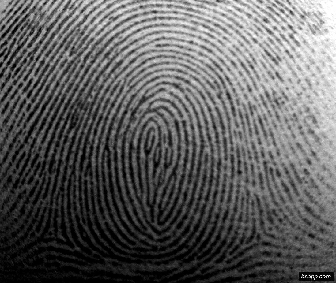 Psychological and diagnostic significance of finger prints DSC00932
