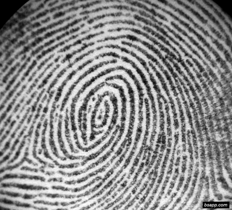 Psychological and diagnostic significance of finger prints DSC00816