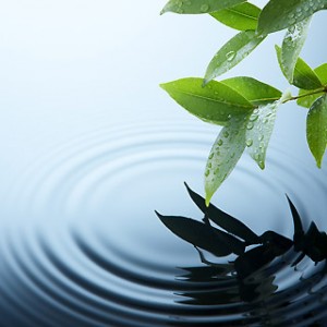 Uji.................... Water-beauty-300x300