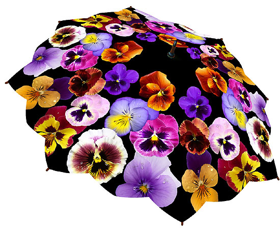 Zgjidhni adrn q ju plqen 110-pansy-flower-umbrella-5