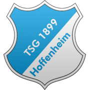 El Plastico 28/1/2017: RB Leipzig vs TSG Hoffenheim Hoffenheim