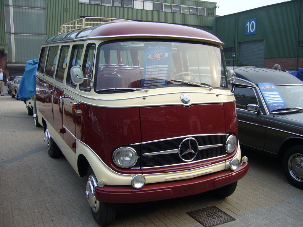 La camionette c'est chouette ! même dans le 70....  - Page 14 Mercedes-benz-o319-luxusreisebus-der-o319-65149