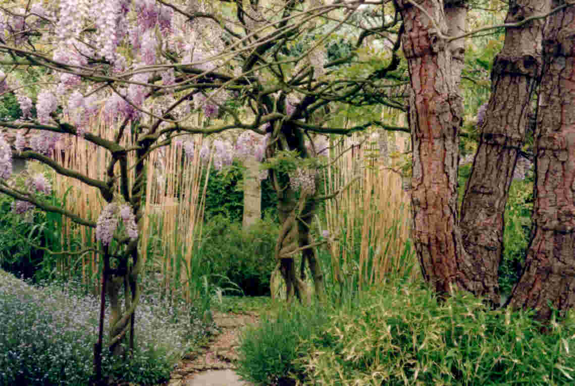 حدائق اليابان Japanese_garden1