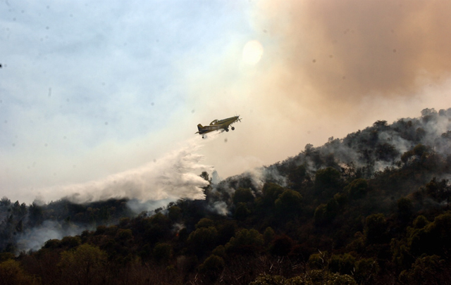 INCENDIOS FORESTALES Y DE CAMPO EN CORDOBA - Página 1 ARCHI_131388