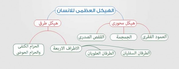 أحياء الدعامة فى الكائنات الحية للصف الثالث الثانوي 2015-2016 87-625x242