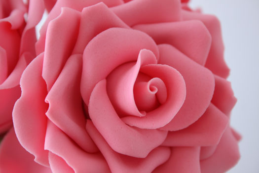 الورد الجوري ..~ Img_rose-close-up