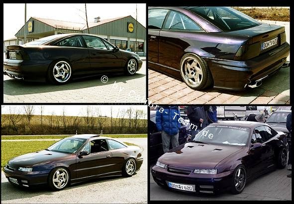 Photos des Calibra dans le Monde Lotus-blume03102