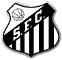 Campeonato Brasileiro - SÉRIE A Santos