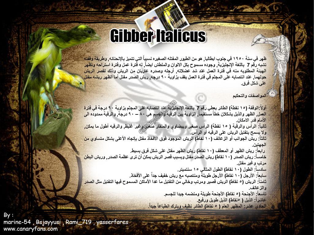 بطاقات لأنواع الكناري ولا أروع  Gibber-Italicus