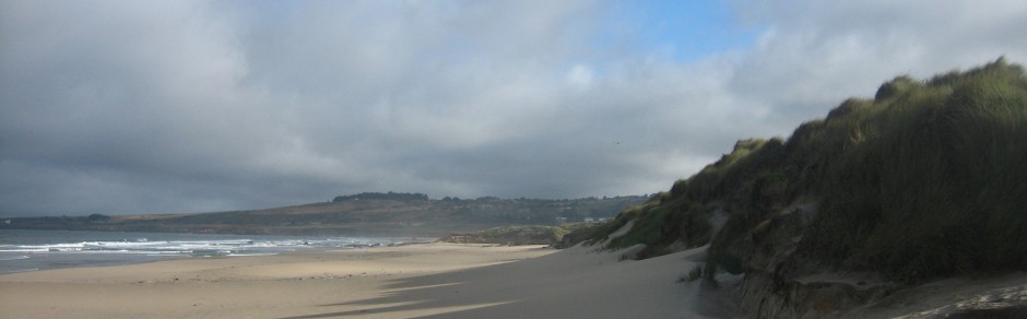 Ca. to Wash. STARFISH  RIPPING  THEMSELVES  APART!!!! Cropped-Beach3-Version-2