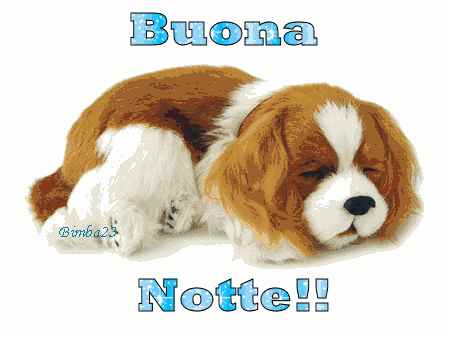 BUONA NOTTE, ...e sogni d'oro - Pagina 25 Buonanotte4bg6