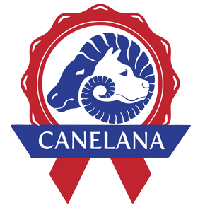 Canelana Canelana_logo_top