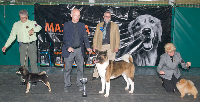 III CONCURSO NACIONAL CANINO DE SANT FOST DE CAMPSENTELLES 2010 Sfost10g05