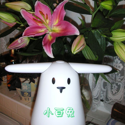 A Cantonese rabbit... Nabaztag_flowers