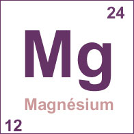 LES SELS MINÉRAUX Magnesium