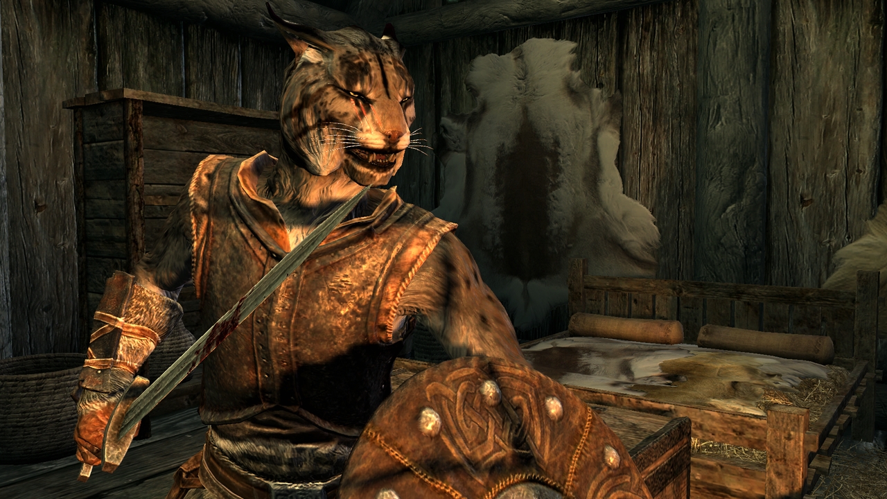 Post Skyrim Screens here - Page 3 Skyrim-khajiit-male