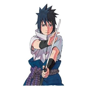 Sasuke Gaiden Sasuke