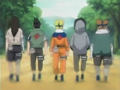 Les equipes Teamshika