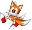 Les Personnages Tails