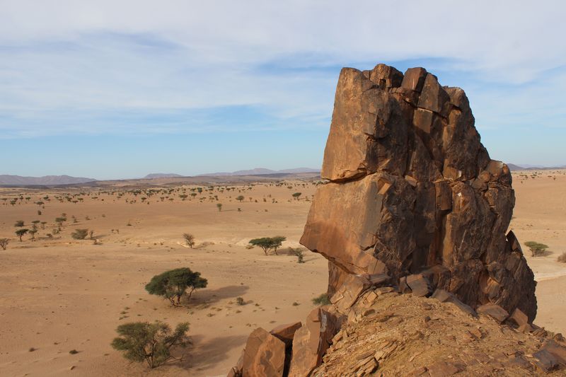 Maroc janvier 2016 IMG_2309