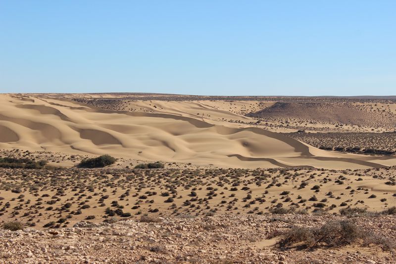 Maroc janvier 2016 IMG_2379